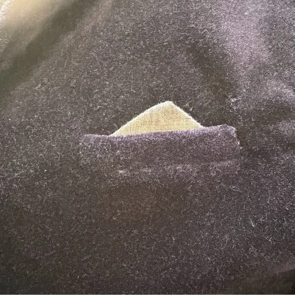 Zara Baby Blazer Velvet Jacket Navy Size 9 - 12 Months Christmas Pics Fancy Navy - Picture 7 of 8